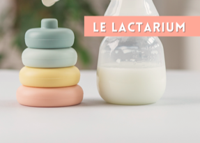 [LE LACTARIUM]